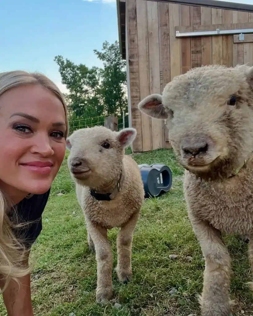 Carrie Underwood тайзнаас ферм рүү: Алдарт дуучны нууцлаг энгийн амьдрал 6 Carrie Underwood тайзнаас ферм рүү: Алдарт дуучны нууцлаг энгийн амьдрал