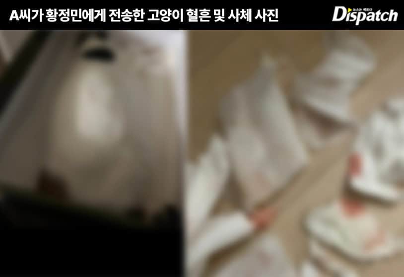Hwang Jung Min stalker-ийн хэрэгт үхсэн муурны зураг, захидал зэрэг нотлох баримт ил болжээ 2 Hwang Jung Min stalker-ийн хэрэгт үхсэн муурны зураг, захидал зэрэг нотлох баримт ил болжээ