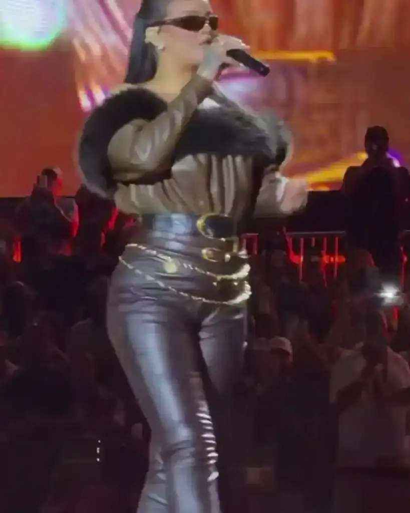 Rihanna тайзнаа эргэн гарлаа: ихэр хүүхэд тээж байгаа гэх цуу яриа улам хүчтэй болов 3 Rihanna тайзнаа эргэн гарлаа: ихэр хүүхэд тээж байгаа гэх цуу яриа улам хүчтэй болов